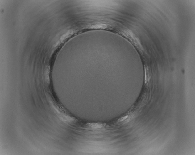 X0000088590300200705251156