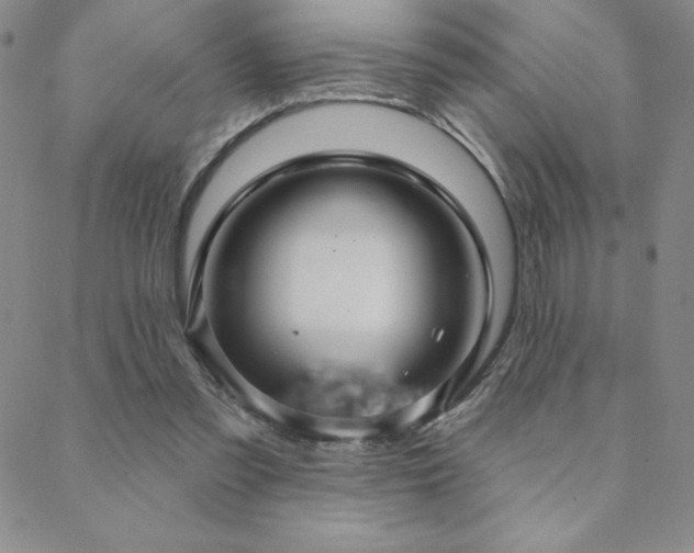 X0000088590301200705251156