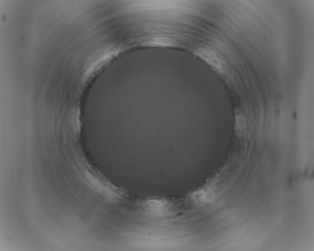 X0000088590302200705251156