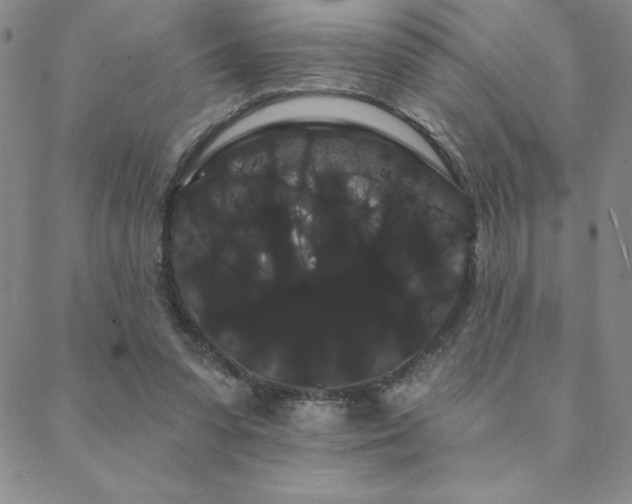 X0000088590303200705251156