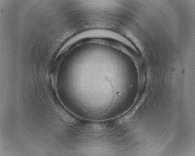 X0000088590305200705251156