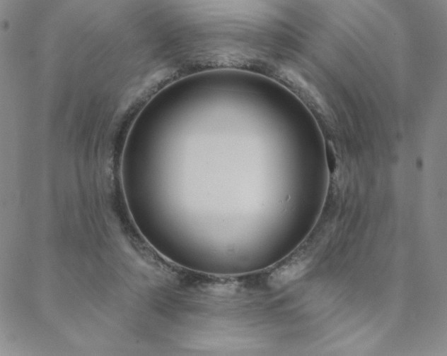 X0000088590306200705251156