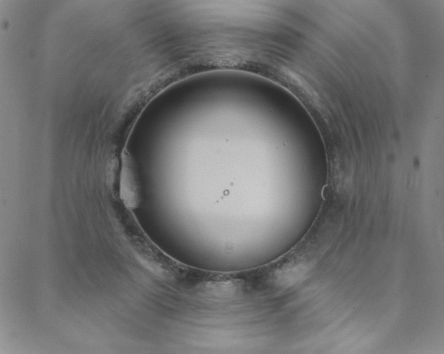 X0000088590307200705251156