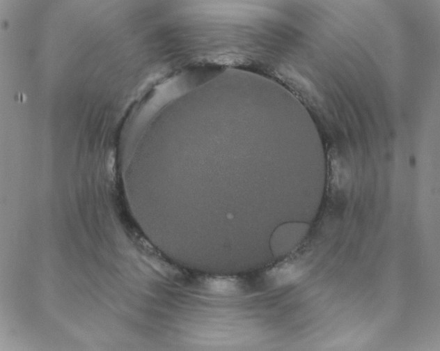 X0000088590308200705251156