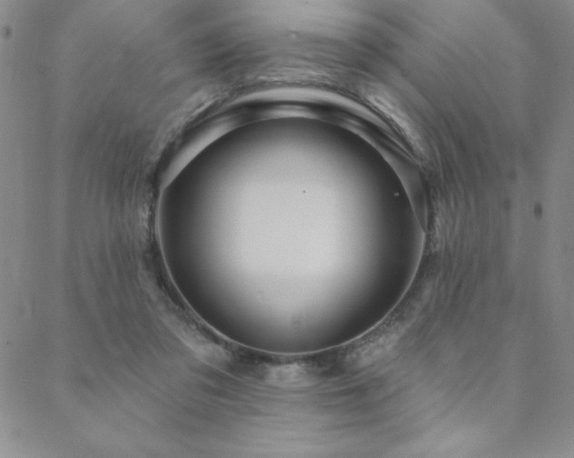 X0000088590309200705251156