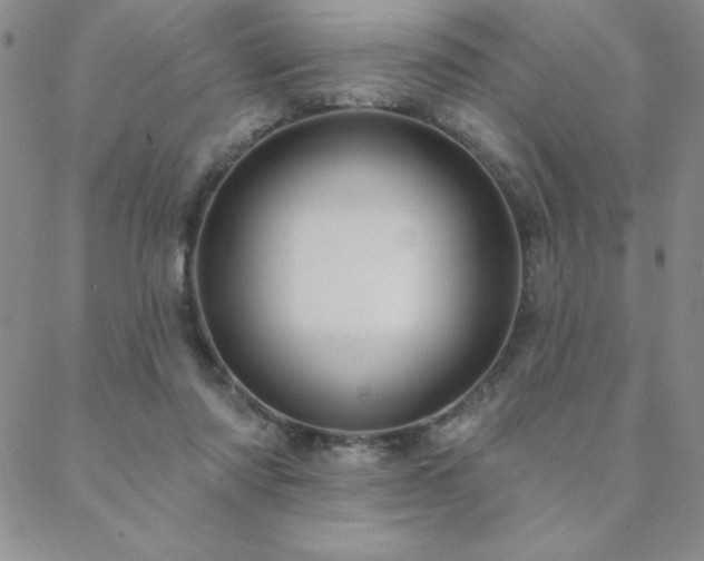 X0000088590310200705251156