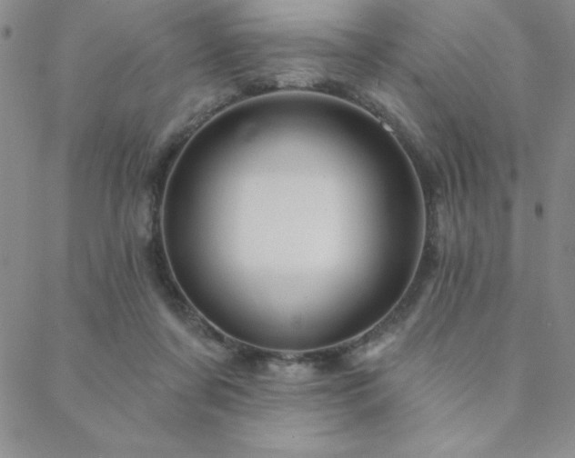 X0000088590311200705251156