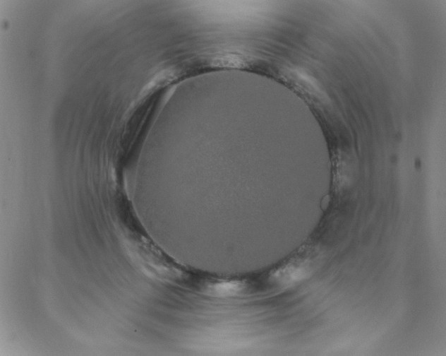 X0000088590312200705251156