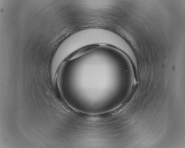 X0000088590313200705251156