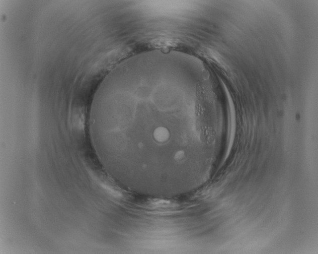 X0000088590315200705251156