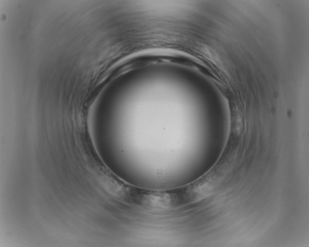 X0000088590317200705251156