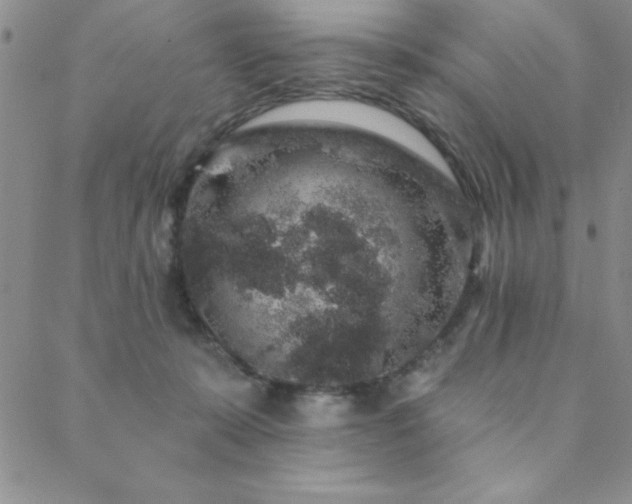 X0000088590319200705251155