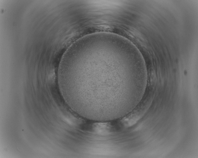 X0000088590320200705251155