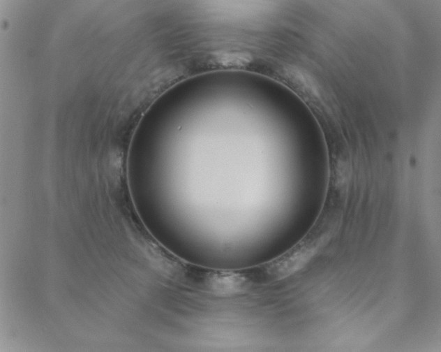 X0000088590321200705251155