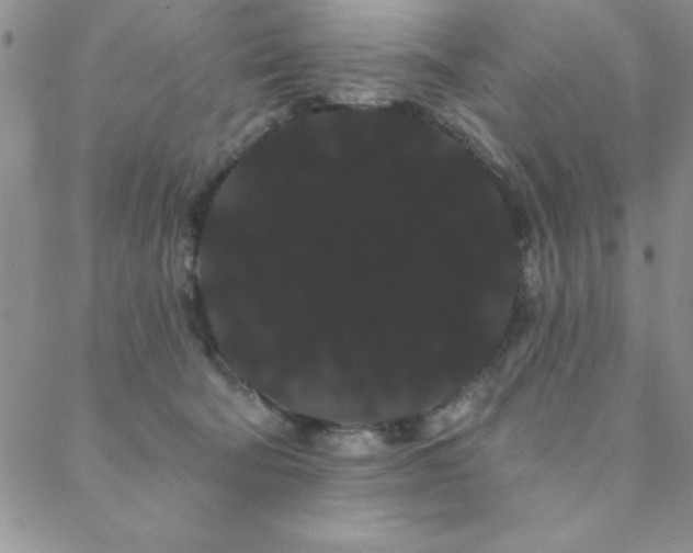 X0000088590322200705251155