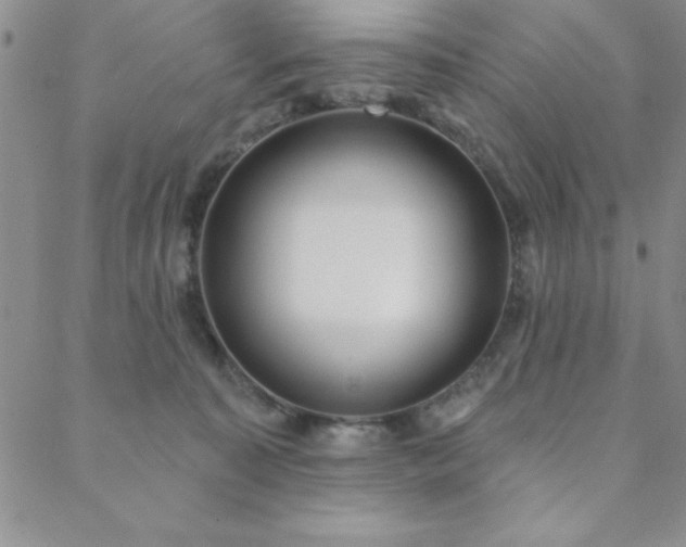 X0000088590323200705251155