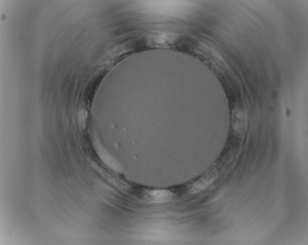 X0000088590324200705251155