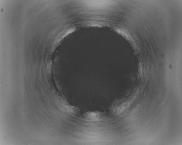 X0000088590325200705251155