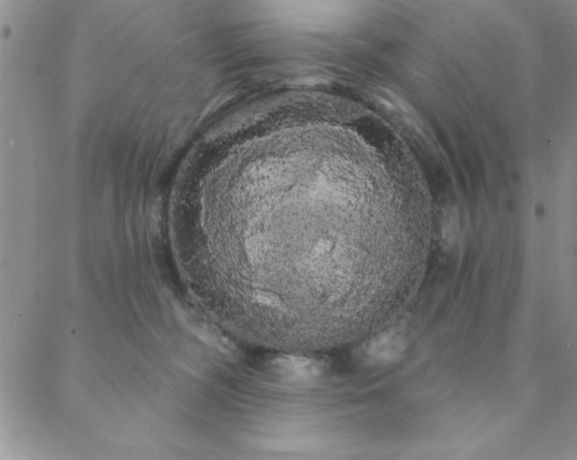 X0000088590326200705251155