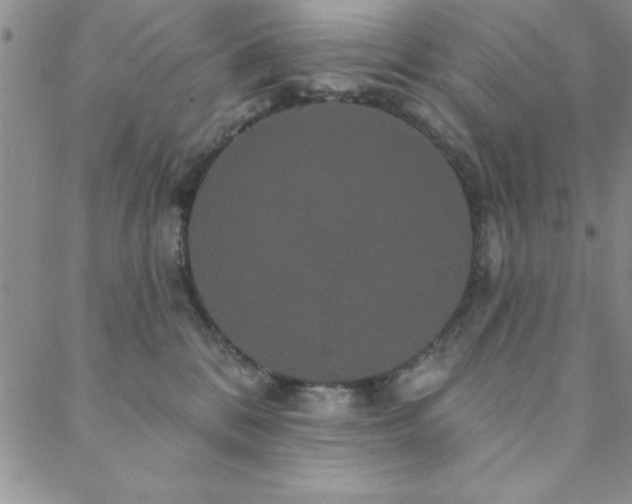 X0000088590328200705251155