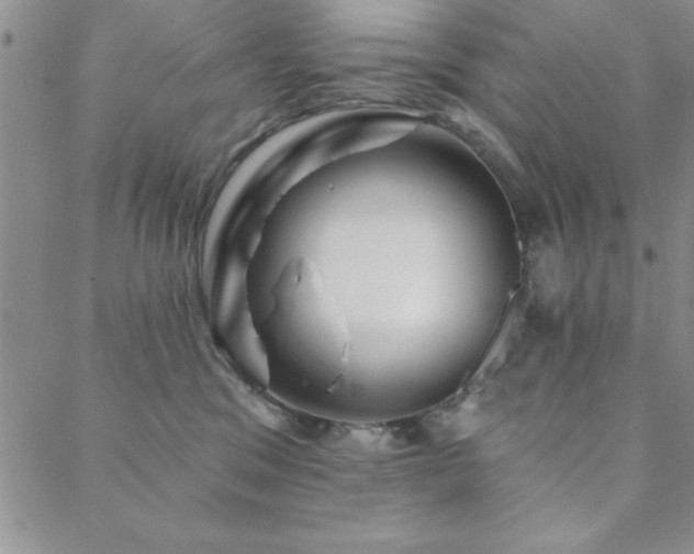 X0000088590329200705251155