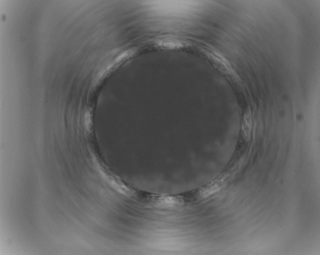 X0000088590330200705251155