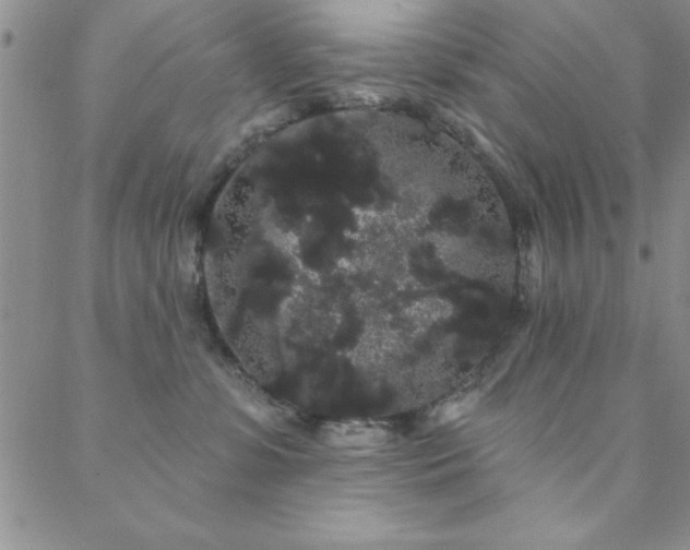 X0000088590331200705251155