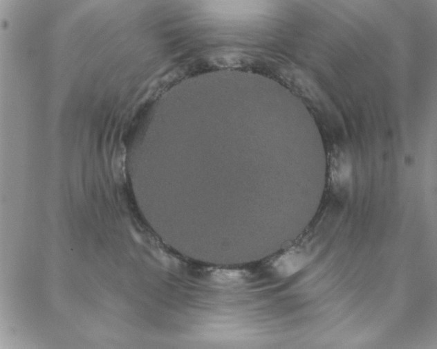 X0000088590332200705251155