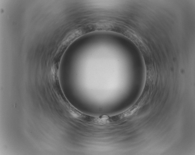 X0000088590333200705251155