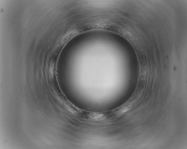 X0000088590334200705251155