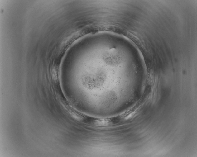 X0000088590335200705251155