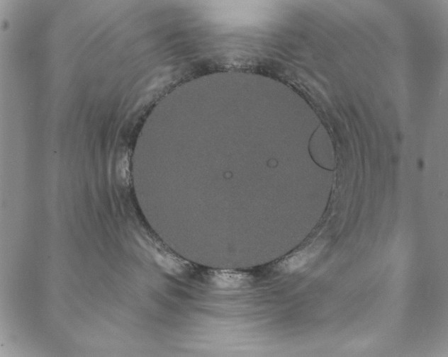 X0000088590336200705251155