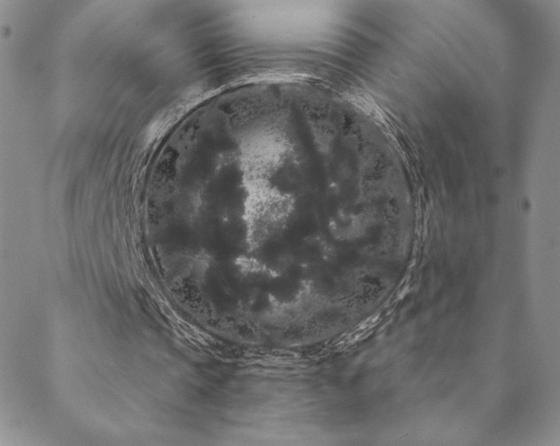 X0000088590337200705251154