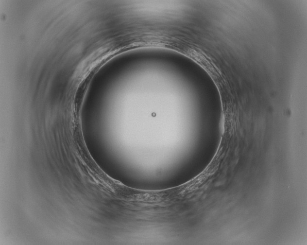 X0000088590338200705251154