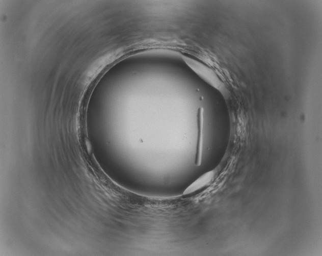 X0000088590340200705251154