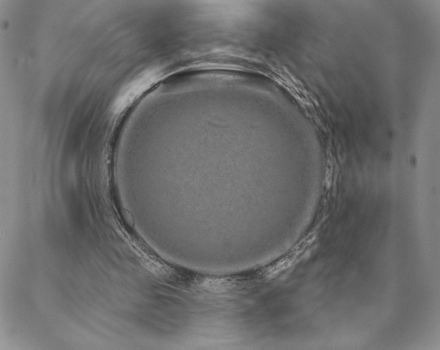 X0000088590341200705251155