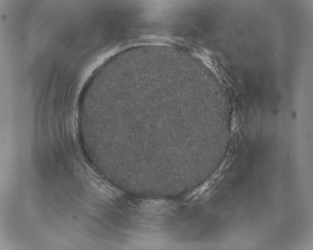 X0000088590342200705251155