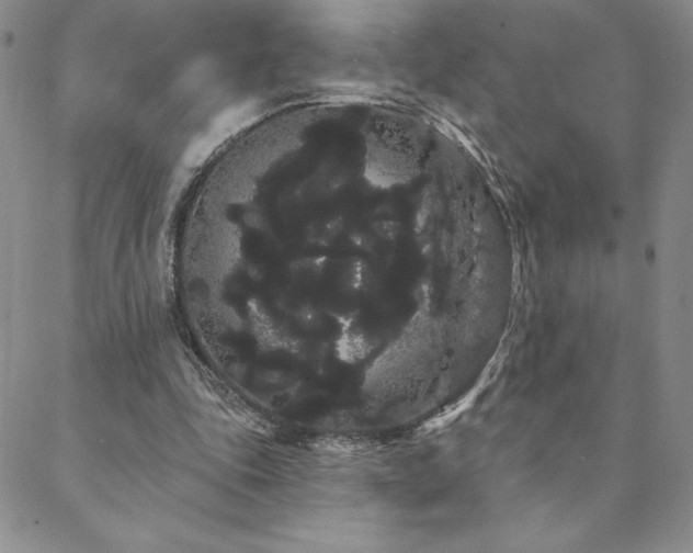 X0000088590343200705251155