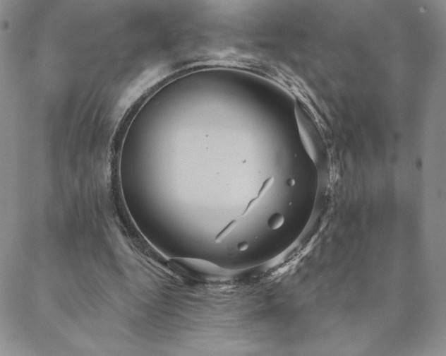 X0000088590344200705251155