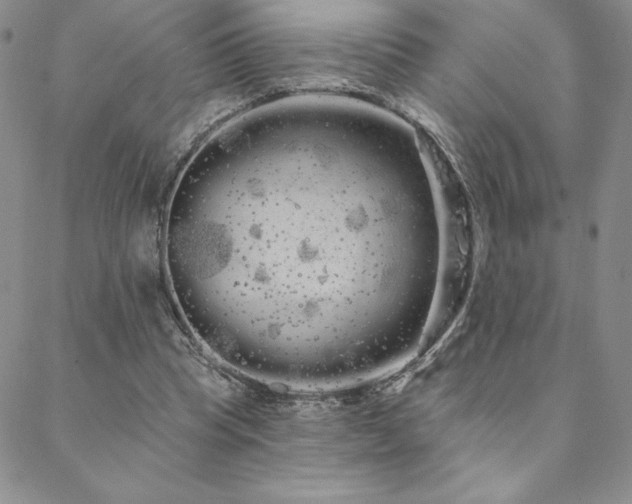 X0000088590345200705251155