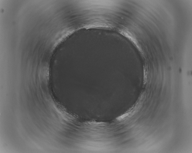 X0000088590348200705251155