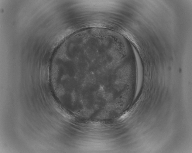 X0000088590349200705251155