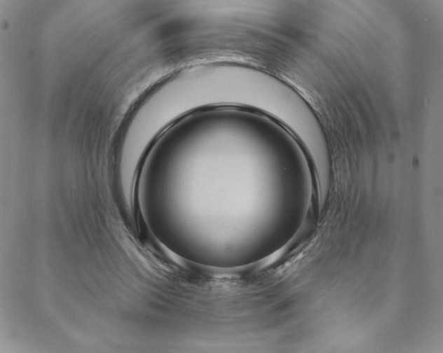 X0000088590350200705251155