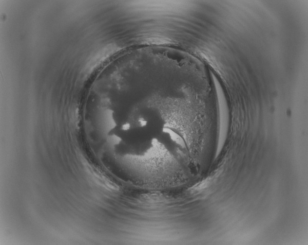 X0000088590351200705251155