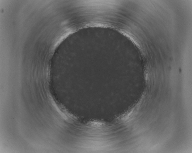 X0000088590352200705251155