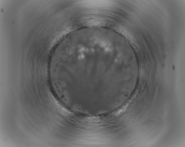 X0000088590353200705251155