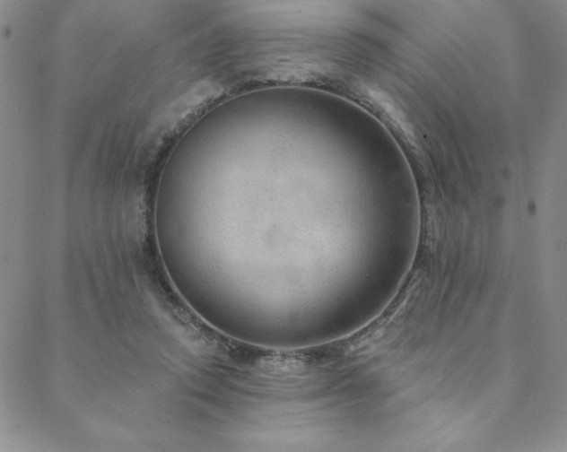 X0000088590354200705251155