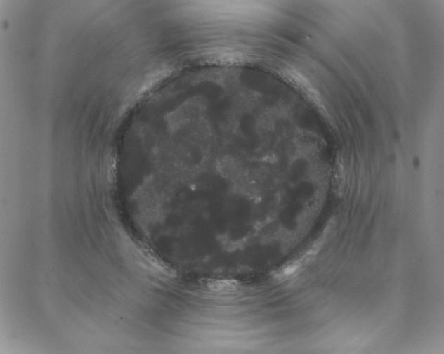 X0000088590355200705251155