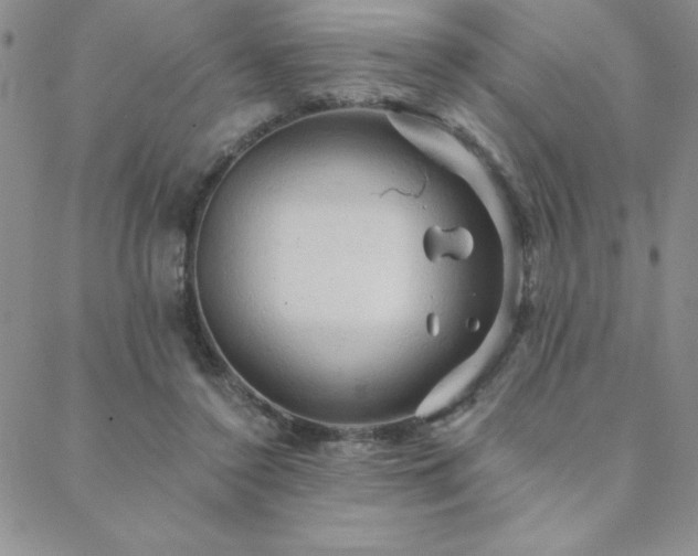 X0000088590356200705251155