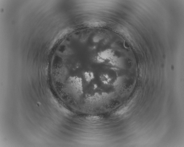 X0000088590357200705251155